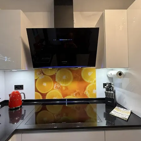 Oslo: Messe-/business-/ferienwohnung *